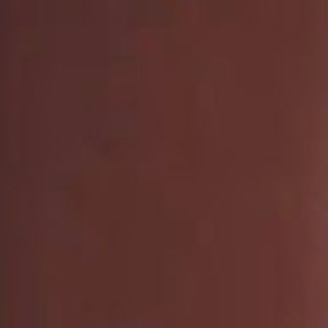 Meet your Posher, Ariana